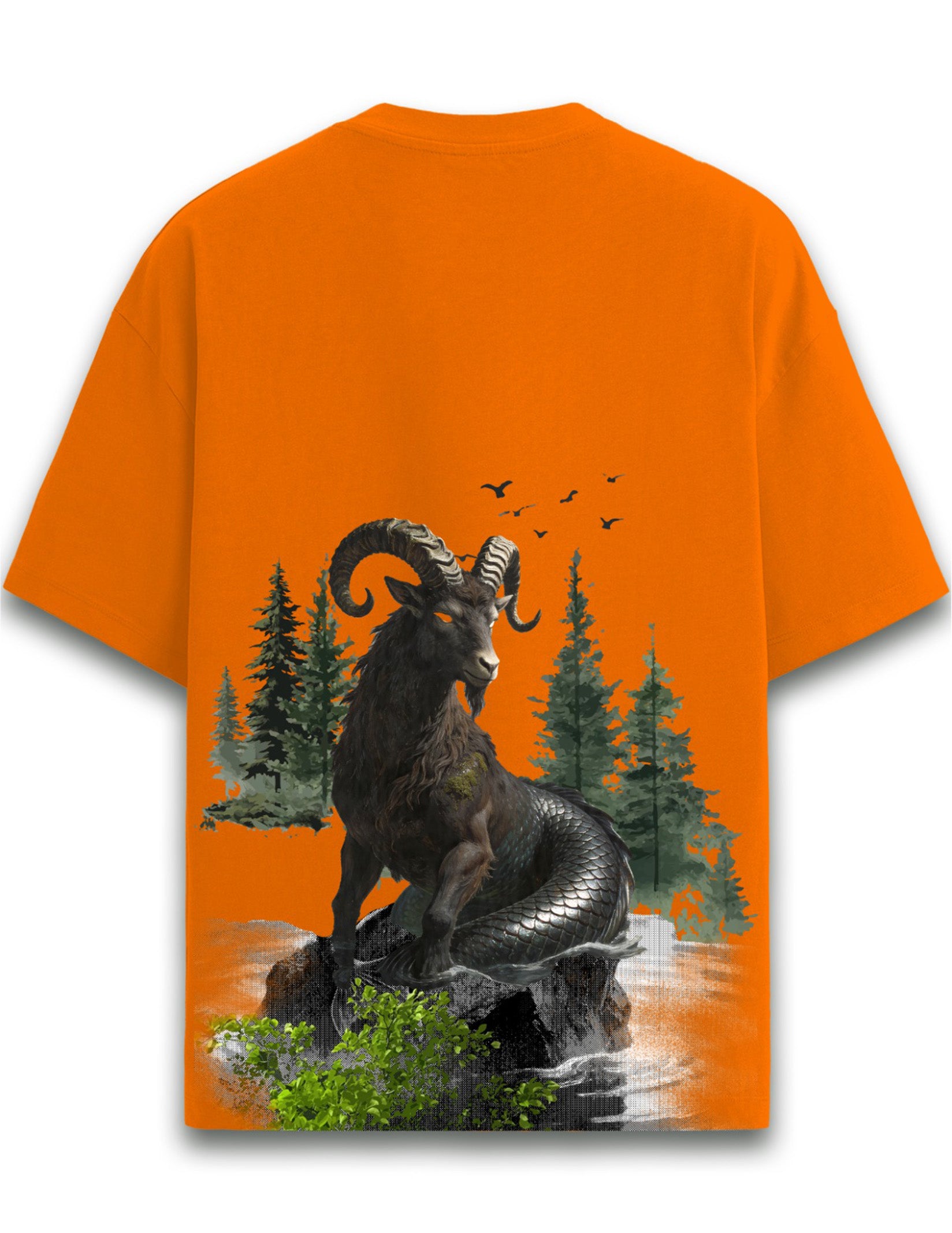 Capricorn
